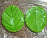 Veiner Mold