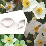 Petal Cutter Set