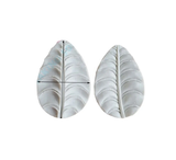 Veiner Mold