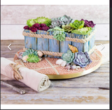 Sea Shell Mold