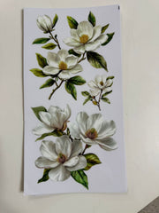 Decals