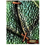 Dragon Skin Mold