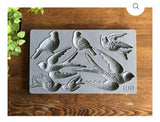 Bird Mold