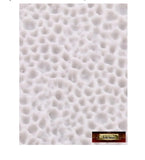 Dragon Skin Mold