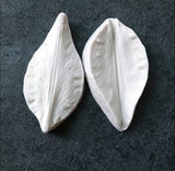 Veiner Mold