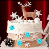 Snowflake Mold